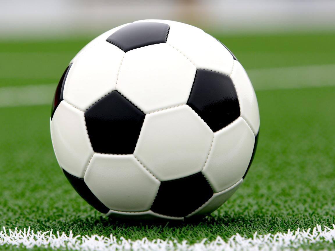 开云体育-“2025世界游泳锦标赛:水上芭蕾展示别样优雅与力量” 第3张